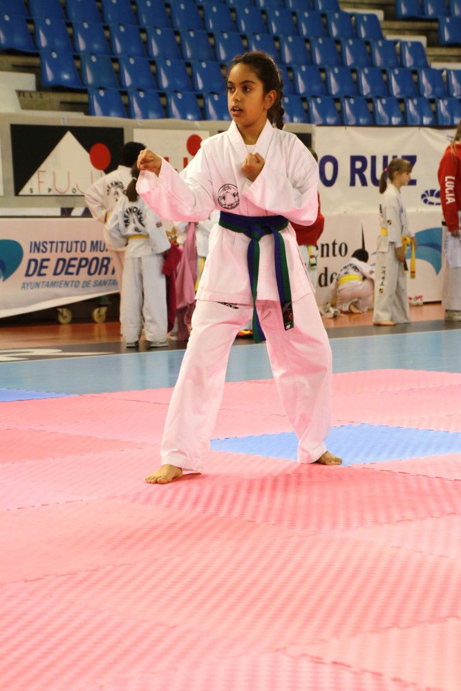 Taekwondo Dic 2016 (114).jpg